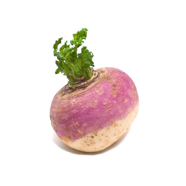 Turnip 1 kg