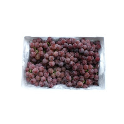 Grapes Red  Med ctn  العنب الأحمر المتوسط ctn