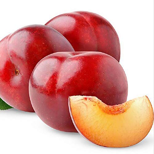 Plums red 500g Plums red 500g