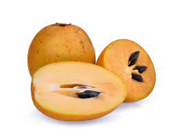 Sapodilla (Chikko) 500g   سابوديلا (تشيكو) 500 جرام