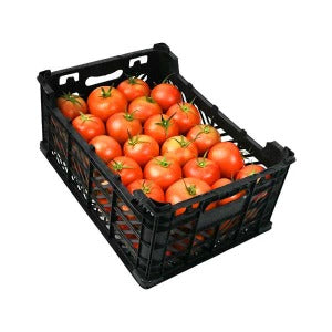 Tomato red Iran 5 kg ctn طماطم حمراء إيرانية 5 كجم بالكرتون